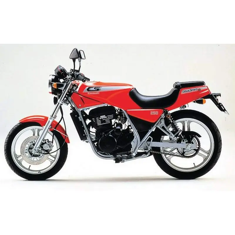 Ventura Luggage for Kawasaki BR 250 A