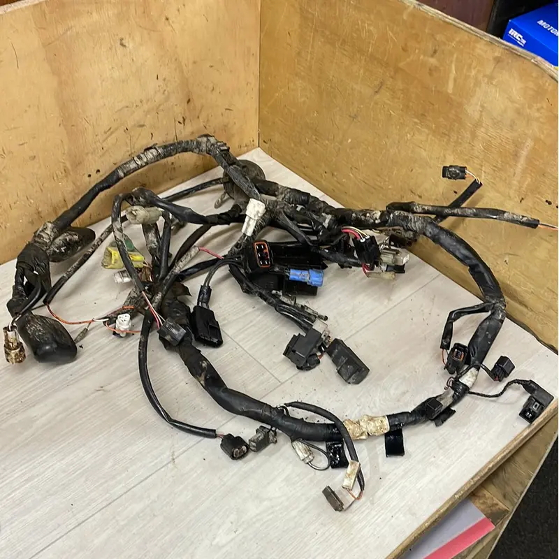 Suzuki LTF400 Kingquad Wire Harness