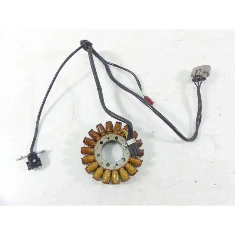 2019 Triumph Street Triple 765R Ignition  Alternator Generator Stator T1300205