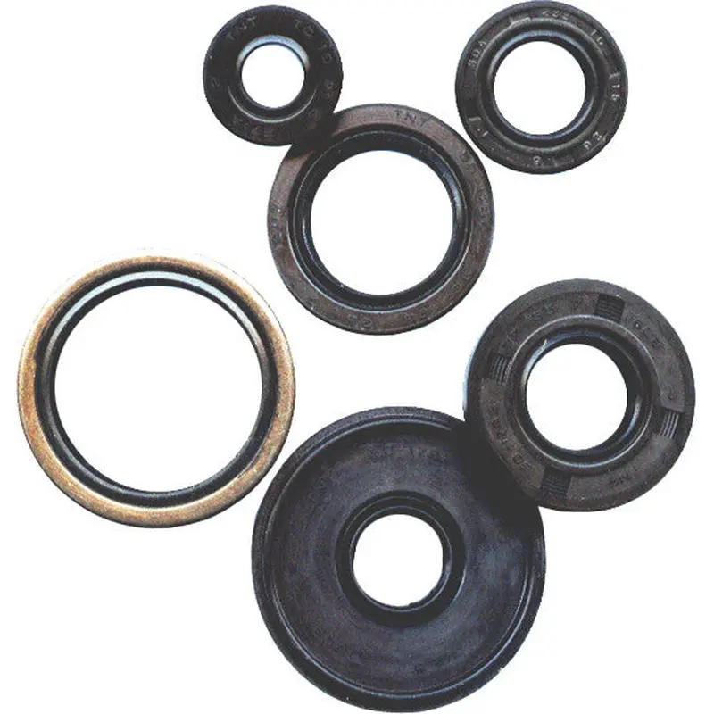 WINDEROSA OIL SEAL SET 822153