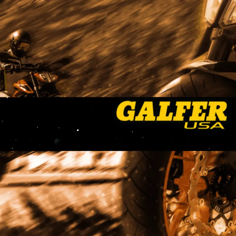 BMW G310 GS / R Galfer Sintered Brake Pads