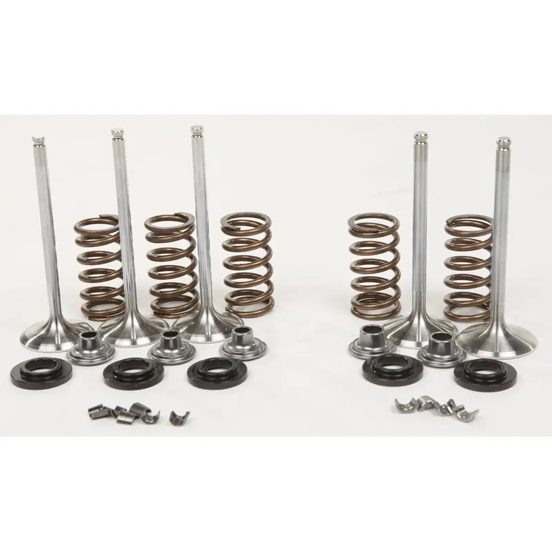 X2 STEEL VALVE MASTER KIT X2VMK43000