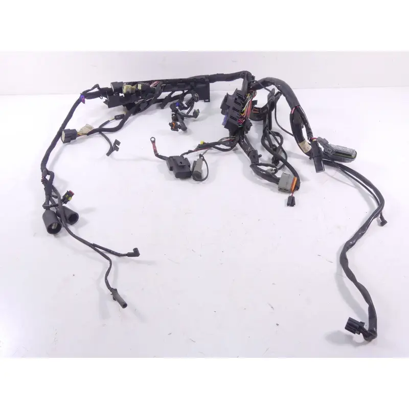 2009 Harley Sportster XR1200 Main & Engine Wiring Harness -Read 70225-08 70163-0