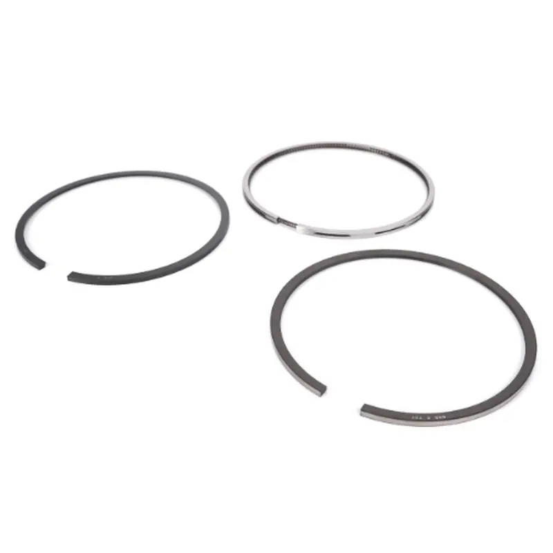 Massey Ferguson - Piston Ring Set - V836640078
