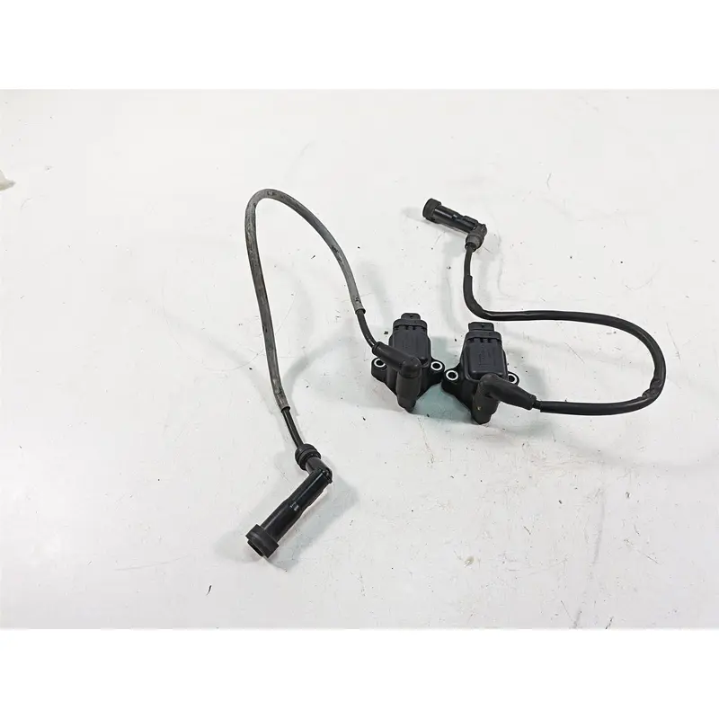 2013  Moto Guzzi V7 750 Stone Eldor Ignition Coil Set 642034 641901 77380001