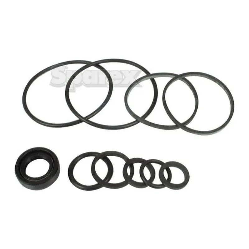 Seal Kit (Hydraulic Pump (Single Kit Only)) | Sparex Part No.S.57973