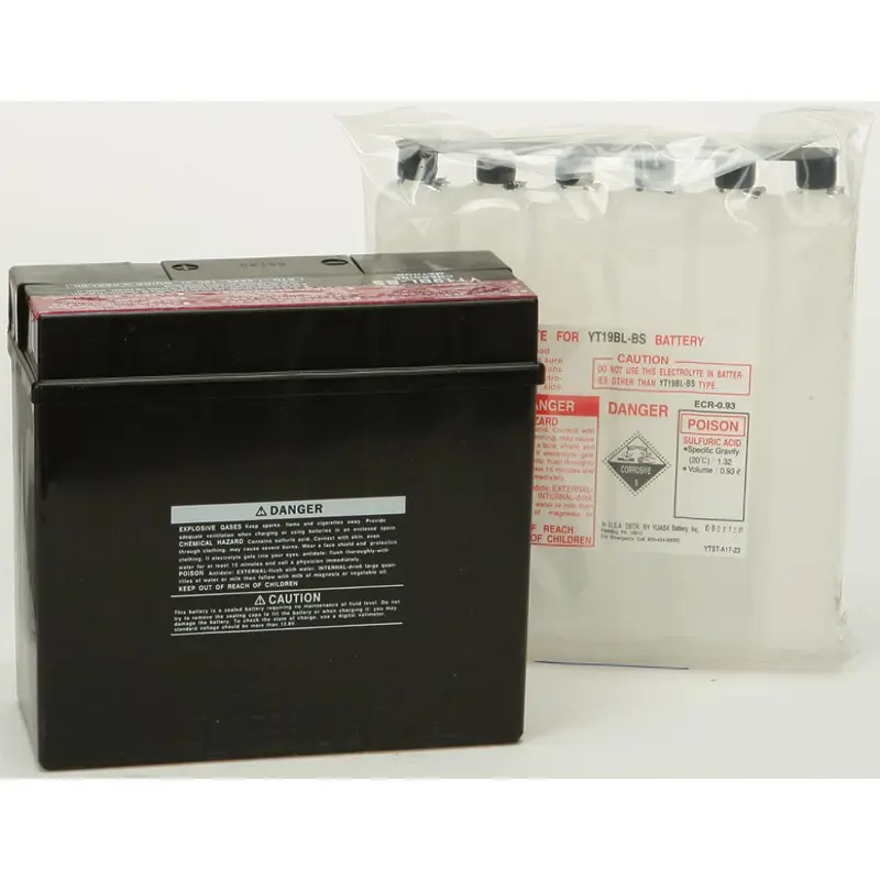 Yuasa Battery Yt19bl Bs Maintenance Free