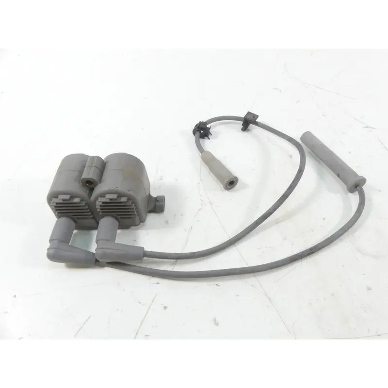 2002 Harley XL1200 Sportster Ignition Coil -Tested -Video 31646-98