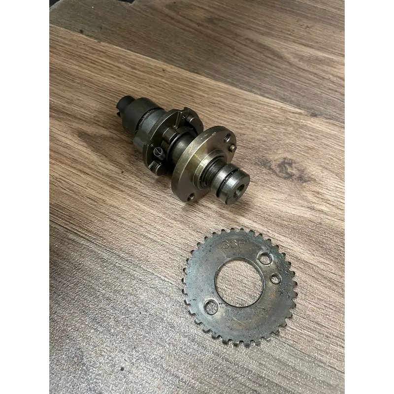 Suzuki Eiger LTA400 Camshaft & Gear